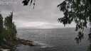 ./images/koeye/fitz-hugh/20260627/fitz-hugh20260627_154501M.jpg
