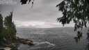 ./images/koeye/fitz-hugh/20260627/fitz-hugh20260627_155501M.jpg