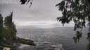 ./images/koeye/fitz-hugh/20260627/fitz-hugh20260627_162002M.jpg