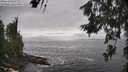 ./images/koeye/fitz-hugh/20260627/fitz-hugh20260627_162501M.jpg