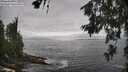 ./images/koeye/fitz-hugh/20260627/fitz-hugh20260627_164002M.jpg
