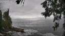 ./images/koeye/fitz-hugh/20260627/fitz-hugh20260627_164501M.jpg