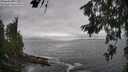 ./images/koeye/fitz-hugh/20260627/fitz-hugh20260627_165001M.jpg