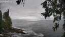 ./images/koeye/fitz-hugh/20260627/fitz-hugh20260627_165501M.jpg