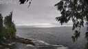 ./images/koeye/fitz-hugh/20260627/fitz-hugh20260627_172001M.jpg