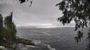 ./images/koeye/fitz-hugh/20260627/fitz-hugh20260627_172501M.jpg