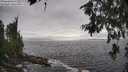 ./images/koeye/fitz-hugh/20260627/fitz-hugh20260627_173501M.jpg