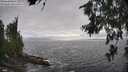 ./images/koeye/fitz-hugh/20260627/fitz-hugh20260627_174001M.jpg