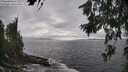 ./images/koeye/fitz-hugh/20260627/fitz-hugh20260627_181001M.jpg