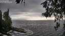 ./images/koeye/fitz-hugh/20260627/fitz-hugh20260627_193501M.jpg
