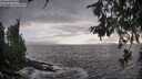 ./images/koeye/fitz-hugh/20260627/fitz-hugh20260627_195001M.jpg