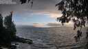 ./images/koeye/fitz-hugh/20260627/fitz-hugh20260627_204502M.jpg