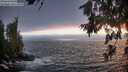 ./images/koeye/fitz-hugh/20260627/fitz-hugh20260627_214501M.jpg