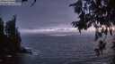 ./images/koeye/fitz-hugh/20260627/fitz-hugh20260627_223001M.jpg