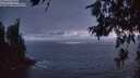 ./images/koeye/fitz-hugh/20260627/fitz-hugh20260627_223501M.jpg