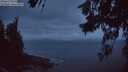 ./images/koeye/fitz-hugh/20260628/fitz-hugh20260628_043502M.jpg