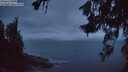 ./images/koeye/fitz-hugh/20260628/fitz-hugh20260628_044001M.jpg
