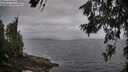 ./images/koeye/fitz-hugh/20260628/fitz-hugh20260628_055001M.jpg