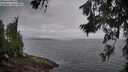./images/koeye/fitz-hugh/20260628/fitz-hugh20260628_062002M.jpg