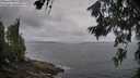./images/koeye/fitz-hugh/20260628/fitz-hugh20260628_064501M.jpg