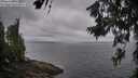 ./images/koeye/fitz-hugh/20260628/fitz-hugh20260628_065001M.jpg