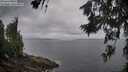 ./images/koeye/fitz-hugh/20260628/fitz-hugh20260628_070001M.jpg