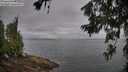 ./images/koeye/fitz-hugh/20260628/fitz-hugh20260628_075501M.jpg