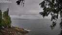 ./images/koeye/fitz-hugh/20260628/fitz-hugh20260628_080001M.jpg