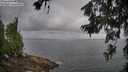 ./images/koeye/fitz-hugh/20260628/fitz-hugh20260628_081002M.jpg
