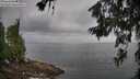 ./images/koeye/fitz-hugh/20260628/fitz-hugh20260628_081501M.jpg