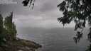 ./images/koeye/fitz-hugh/20260628/fitz-hugh20260628_083002M.jpg