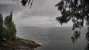 ./images/koeye/fitz-hugh/20260628/fitz-hugh20260628_084002M.jpg