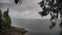 ./images/koeye/fitz-hugh/20260628/fitz-hugh20260628_084501M.jpg