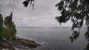 ./images/koeye/fitz-hugh/20260628/fitz-hugh20260628_093001M.jpg