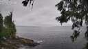 ./images/koeye/fitz-hugh/20260628/fitz-hugh20260628_094002M.jpg