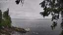 ./images/koeye/fitz-hugh/20260628/fitz-hugh20260628_095001M.jpg