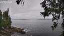 ./images/koeye/fitz-hugh/20260628/fitz-hugh20260628_100001M.jpg