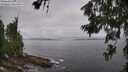 ./images/koeye/fitz-hugh/20260628/fitz-hugh20260628_100502M.jpg