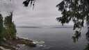 ./images/koeye/fitz-hugh/20260628/fitz-hugh20260628_101501M.jpg