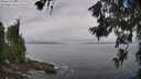 ./images/koeye/fitz-hugh/20260628/fitz-hugh20260628_102501M.jpg