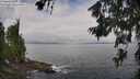 ./images/koeye/fitz-hugh/20260628/fitz-hugh20260628_103001M.jpg