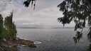 ./images/koeye/fitz-hugh/20260628/fitz-hugh20260628_103501M.jpg