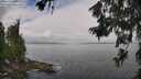 ./images/koeye/fitz-hugh/20260628/fitz-hugh20260628_104001M.jpg