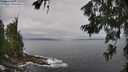 ./images/koeye/fitz-hugh/20260628/fitz-hugh20260628_105002M.jpg