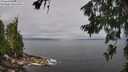 ./images/koeye/fitz-hugh/20260628/fitz-hugh20260628_110001M.jpg
