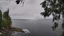 ./images/koeye/fitz-hugh/20260628/fitz-hugh20260628_110501M.jpg
