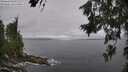 ./images/koeye/fitz-hugh/20260628/fitz-hugh20260628_111001M.jpg