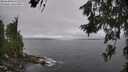 ./images/koeye/fitz-hugh/20260628/fitz-hugh20260628_111501M.jpg