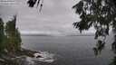./images/koeye/fitz-hugh/20260628/fitz-hugh20260628_113001M.jpg