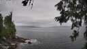 ./images/koeye/fitz-hugh/20260628/fitz-hugh20260628_115501M.jpg